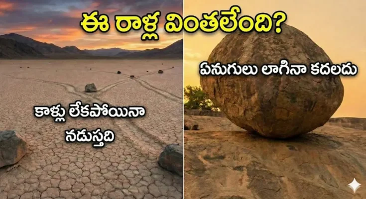 sailing stones vs krishnas butterball mystery