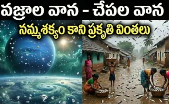 diamond rain fish rain nature wonders facts telugu