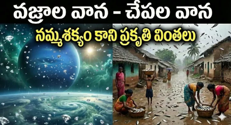diamond rain fish rain nature wonders facts telugu