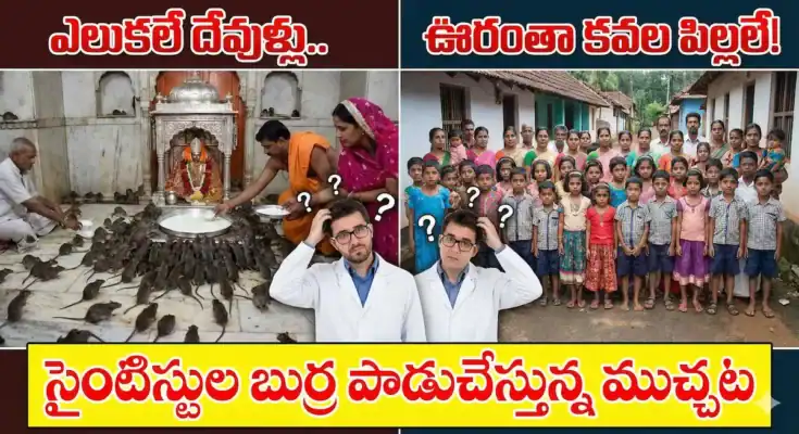 karni mata temple, kodinhi twins village