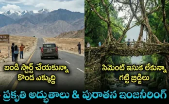 magnetic hill living root bridges facts