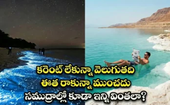 Glowing beach vs floating sea amazing facts