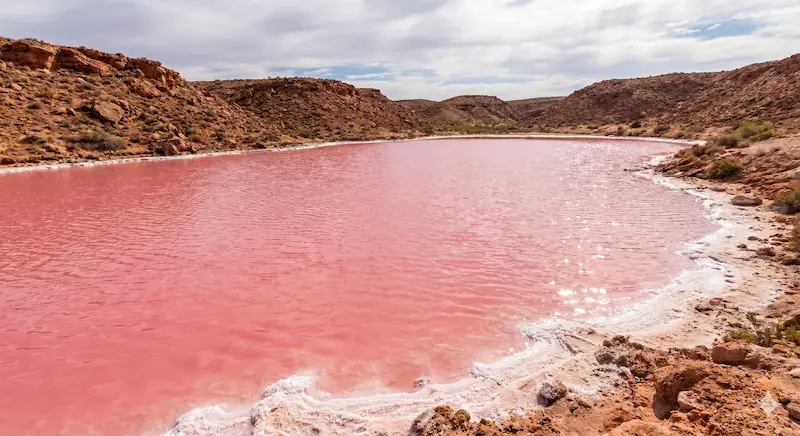 Aerial view of Lake Hillier pink lake in Australia next to blue ocean