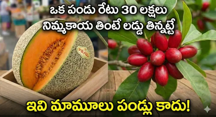 yubari king melon, miracle fruit